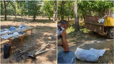 Підприємство, яке має прибирати частину Дендропарку у Кропивницькому, існує "на папері" Підприємство, яке має прибирати частину Дендропарку у Кропивницькому, існує "на папері"