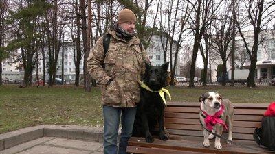 У пошуку господарів: у Рівному волонтери щотижня вигулюватимуть безпритульних собак