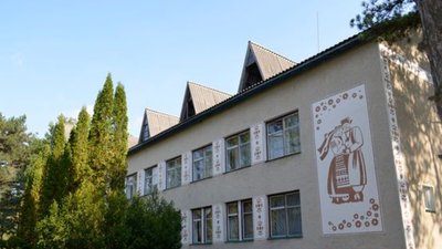 Діти зможуть оздоровлюватися за бюджетні кошти: яка частка "Лісової пісні" належатиме державі