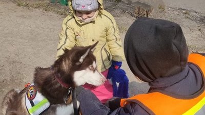 На Дніпропетровщині для переселенців провели зустрічі з собаками пошуково-рятувального загону На Дніпропетровщині для переселенців провели зустрічі з собаками пошуково-рятувального загону