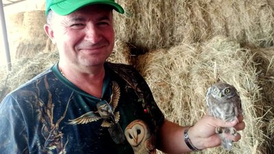 Вперше за 100 років: на Волині зафіксували гніздування сипухи Вперше за 100 років: на Волині зафіксували гніздування сипухи