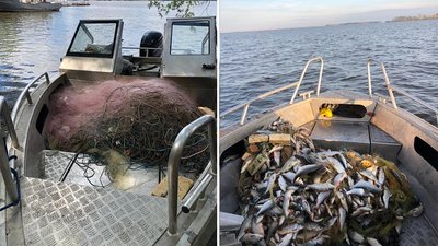 На Кременчуцькому водосховищі вилучили 14 сіток та майже 200 кілограмів риби