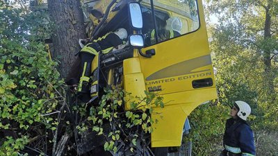 Вантажівка в'їхала у дерево: на Вінниччині в аварії загинув 55-річний чоловік