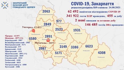 COVID-19 на Закарпатті: діагноз підтвердили двом людям за добу