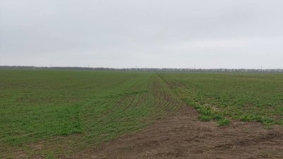 На Одещині ліцею з оренди повернули землю вартістю 15 мільйонів гривень