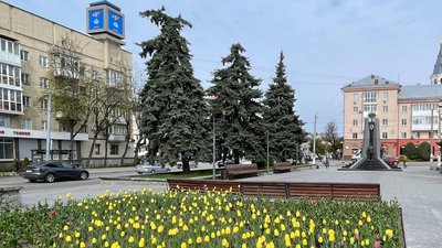 Житомир, погода, природа, 24 квітня 2026 року