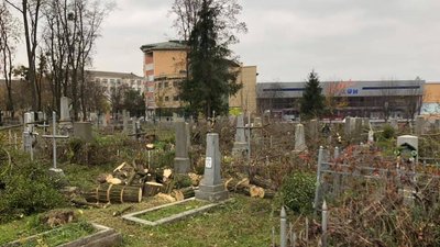 На історичному цвинтарі у Рівному зрізали дерева. Хто і чому На історичному цвинтарі у Рівному зрізали дерева. Хто і чому