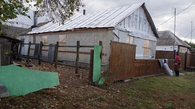 проліска проліска