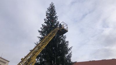 Обласну ялинку почали прикрашати на Закарпатті Обласну ялинку почали прикрашати на Закарпатті