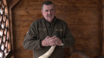Імітує "пісні". Прикарпатець Олексій Онутчак вміє "розмовляти" з оленями Імітує "пісні". Прикарпатець Олексій Онутчак вміє "розмовляти" з оленями