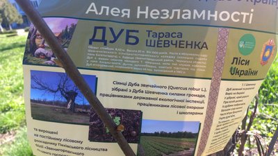 Сіянці від Шевченкового дерева: у Сумах висадили дуби, привезені з Черкащини