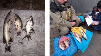 рибпатруль рибпатруль