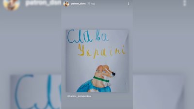 Відшуковує міни та підкорює Інстаграм: як чернігівський пес Патрон став піротехніком Відшуковує міни та підкорює Інстаграм: як чернігівський пес Патрон став піротехніком