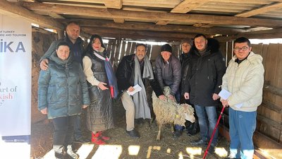 На Одещині роздали 240 овець