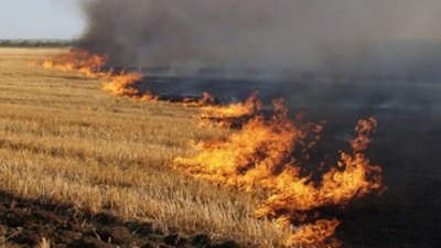 Зеленський підписав закон про збільшення штрафів за самовільне спалення листя та сухої трави