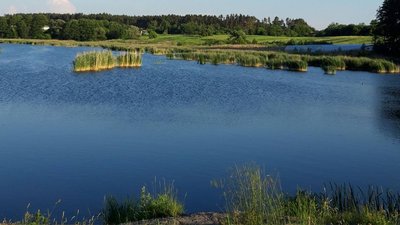 Житомир, погода, природа, серпень 2025 року