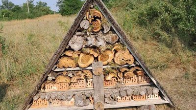дністровський каньйон, дністер, національний парк, комахи, хатинки для комах