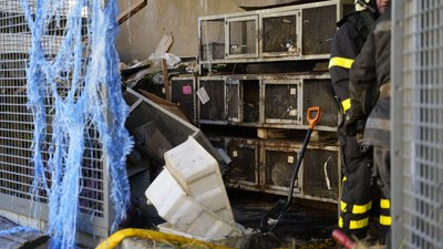РФ вдарила безпілотником по зоопарку у Харкові: є постраждалі тварини