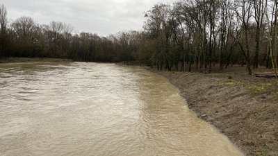Майже 1,5 м сягнув рівень води в річці Уж. Яка ситуація з підтопленнями в Ужгороді Майже 1,5 м сягнув рівень води в річці Уж. Яка ситуація з підтопленнями в Ужгороді