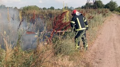 Вигоріли чотири гектари сухостою. На Криворіжжі сталася пожежа в екосистемі