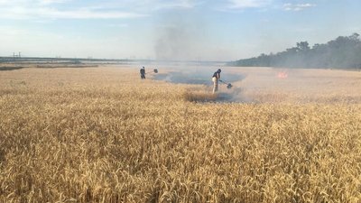 "The biggest famine since World War II": What Russia has to do with it and why it will affect everyone "The biggest famine since World War II": What Russia has to do with it and why it will affect everyone