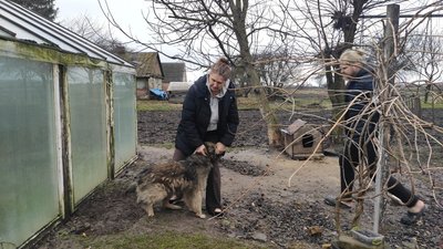 У селі на Волині вакцинували домашніх тварин і худобу від сказу У селі на Волині вакцинували домашніх тварин і худобу від сказу