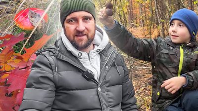 гриби