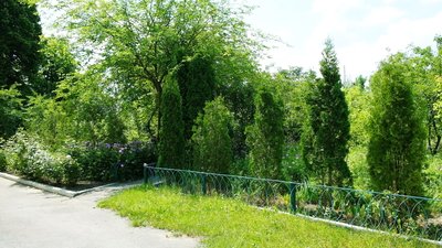 Екзотичні рослини та плодові дерева вирощують у школі на Вінниччині