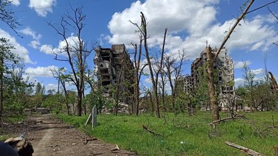 Хліба не бачили кілька тижнів: на Тернопільщині проживає переселенка з Маріуполя Хліба не бачили кілька тижнів: на Тернопільщині проживає переселенка з Маріуполя
