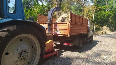 Предмети побуту та скульптури: як у Львові використають повалені дерева Предмети побуту та скульптури: як у Львові використають повалені дерева