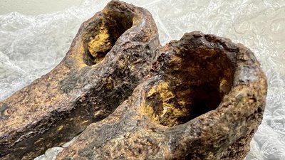 Київські митники запобігли вивезенню середньовічних знарядь праці до Америки Київські митники запобігли вивезенню середньовічних знарядь праці до Америки