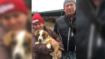 "Не змогли залишитись осторонь": на Чернігівщину зооволонтери привезли безпритульних тварин з прикордоння Сумщини "Не змогли залишитись осторонь": на Чернігівщину зооволонтери привезли безпритульних тварин з прикордоння Сумщини