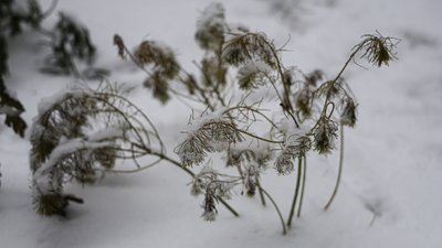 Херсон, погода, природа