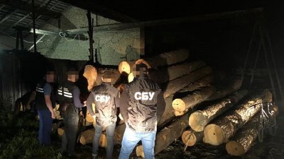 На Львівщині СБУ підозрює керівника військового лісгоспу у продажі кругляку