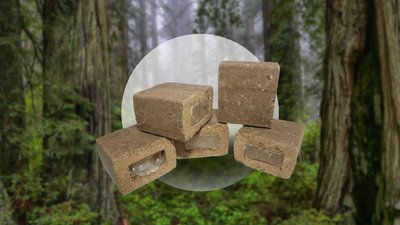 на Чернігівщині проводитимуть імунізацію диких тварин від сказу