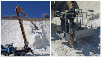 На Донеччині зняли двох собак, які застрягли на крейдовій горі