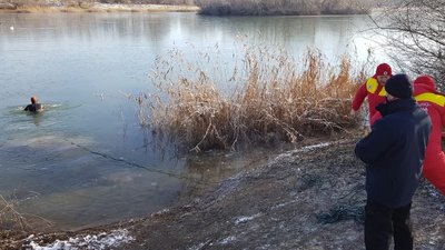 На Прикарпатті врятували двох лебедів, які потрапили у крижану пастку