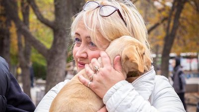 "Друзі поруч". Чим живуть та як виживають під час війни миколаївські прихильники собак "Друзі поруч". Чим живуть та як виживають під час війни миколаївські прихильники собак