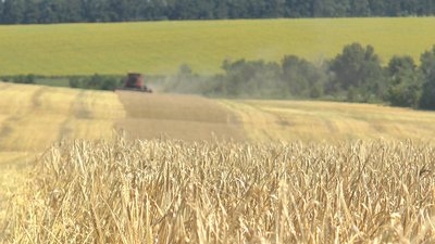 На Івано-Франківщині розпочалася жнивна кампанія