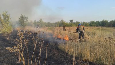 На Донеччині пожежі, що сталися через обстріли, за добу знищили 16 гектарів рослин