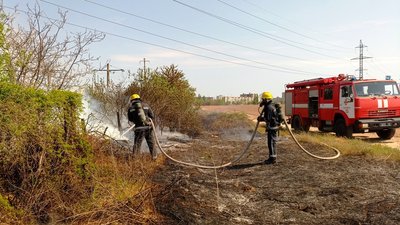 За добу на Херсонщині вигоріло понад тисячу квадратних метрів сухостою