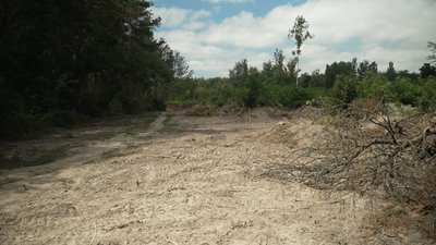 Прокуратура проситиме суд арештувати земельні ділянки поблизу Ялівщини у Чернігові Прокуратура проситиме суд арештувати земельні ділянки поблизу Ялівщини у Чернігові