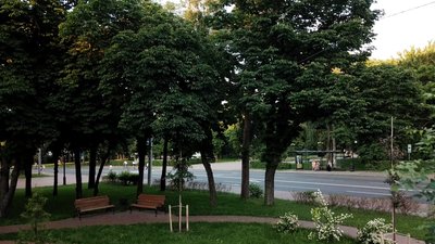 Атрошенко хоче провести онлайн-опитування щодо встановлення колеса огляду у центрі Чернігова