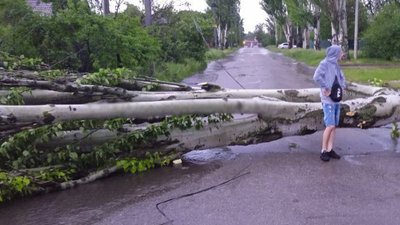 У Кропивницькому вітер пошкодив найбільший стяг в області, повалив дерева та бігборд У Кропивницькому вітер пошкодив найбільший стяг в області, повалив дерева та бігборд