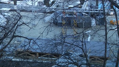 16 дерев незаконно видалили та підрізали на схилах Одеси 16 дерев незаконно видалили та підрізали на схилах Одеси