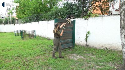 Катерина Мартинчук разом із Белою проходять смугу перешкод. Фото: Суспільне. Катерина Мартинчук разом із Белою проходять смугу перешкод. Фото: Суспільне.