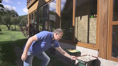 Родина з Тернопільщині вклала зароблені за кордоном гроші в розвиток зеленої садиби Родина з Тернопільщині вклала зароблені за кордоном гроші в розвиток зеленої садиби