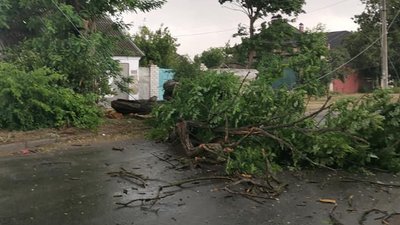 Херсоном пронеслась негода: повалені дерева, транспортні затори, затоплені вулиці