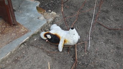 На Житомирщині жителі Народицької громади розповіли про життя в окупації На Житомирщині жителі Народицької громади розповіли про життя в окупації