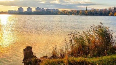 Забруднення земельної ділянки поблизу озера Чеха: головному інженеру КП у Сумах повідомили про підозру